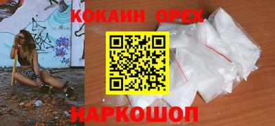 гашик Моздок