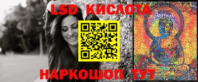 гашик Моздок
