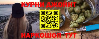 гашик Моздок