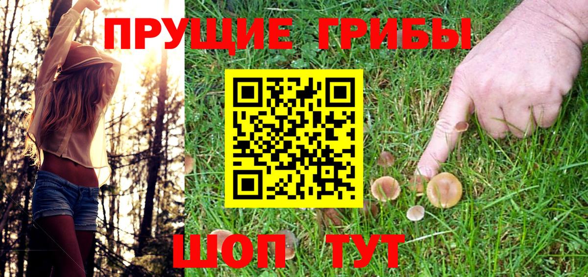 Псилоцибиновые грибы ЛСД  Вход с VPN  Уссурийск 